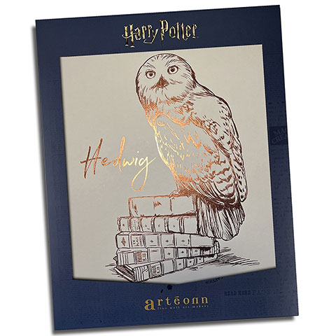 Affiche de collection Hedwige - Harry Potter