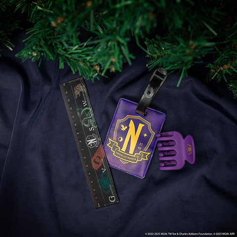 Calendrier de l’avent 2025 - Wednesday Calendrier de l’avent 2025 - Wednesday