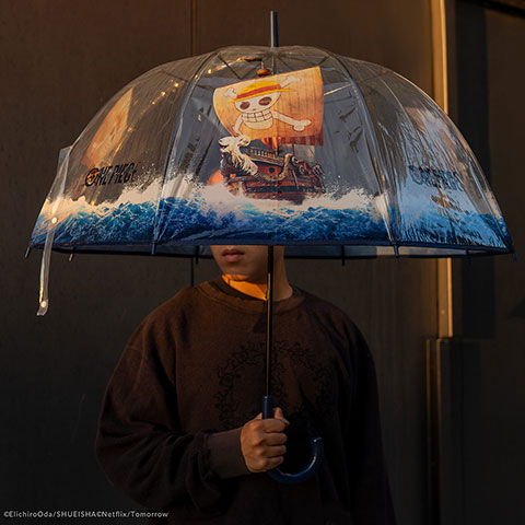 Parapluie - Going Merry - One Piece