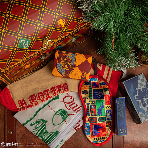 Calendrier de l’avent 2025 Deluxe Quiddtich - Harry Potter