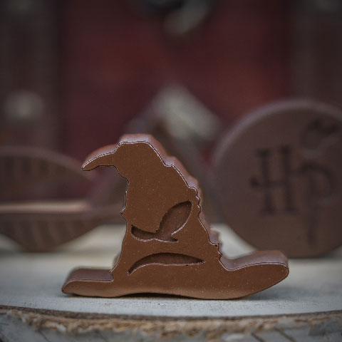 Moule à chocolats et glaçons  - Logo Harry Potter
