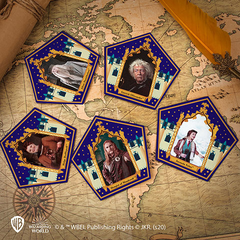 Moule à Chocogrenouille + 6 boîtes Chocogrenouille + 12 cartes - Harry Potter
