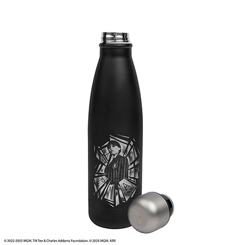 Bouteille isotherme 500ml - Wednesday