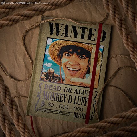 Carnet rigide Luffy Wanted - One Piece