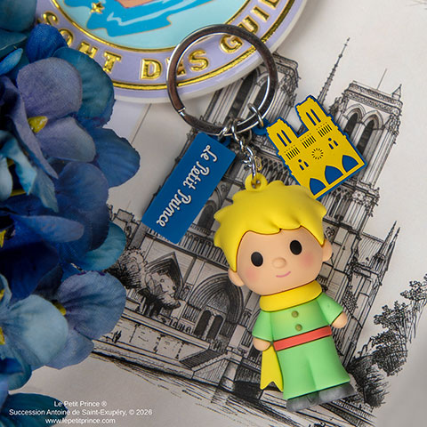 Gomee keymate - Notre-dame de Paris - Le Petit Prince