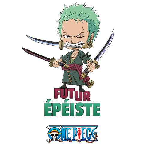 Futur épeiste - Zoro - One Piece
