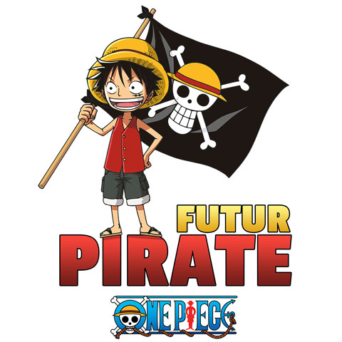 Futur pirate - Luffy - One Piece