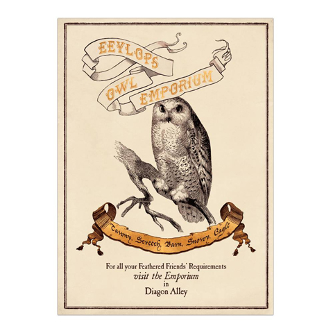Poster - Eeylops Owl Emporium