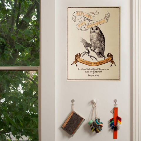 Poster - Eeylops Owl Emporium