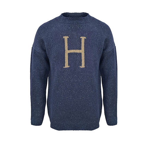 Pull H pour Harry - Harry Potter