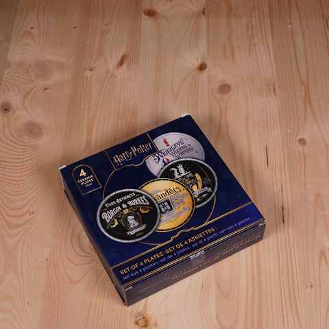 Lot de 4 assiettes Chemin de traverse - Harry Potter