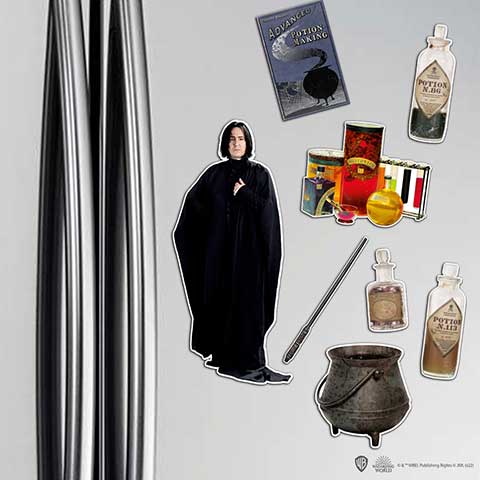 Planche de magnets en mousse - Severus Rogue - Harry Potter
