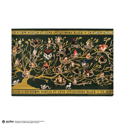 Plaque en aluminium Famille Black - Harry Potter