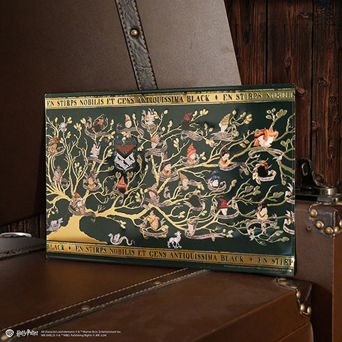 Plaque en aluminium Famille Black - Harry Potter