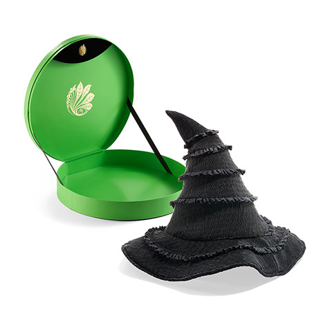 Chapeau de Elphaba - Boîte collector - Wicked