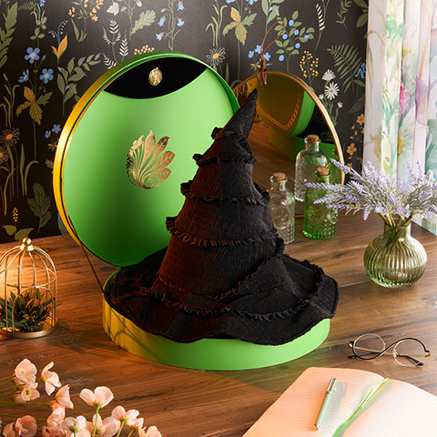 Chapeau de Elphaba - Boîte collector - Wicked