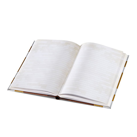 Journal d’Enchantement - Minecraft