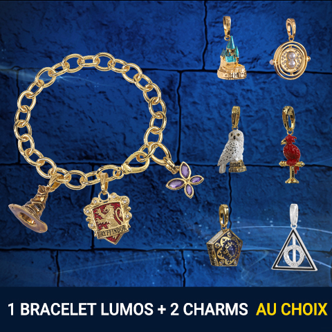 Pack bracelet charms + 2 charms