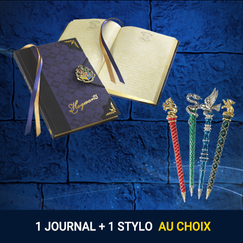 Pack journal + stylo Harry Potter